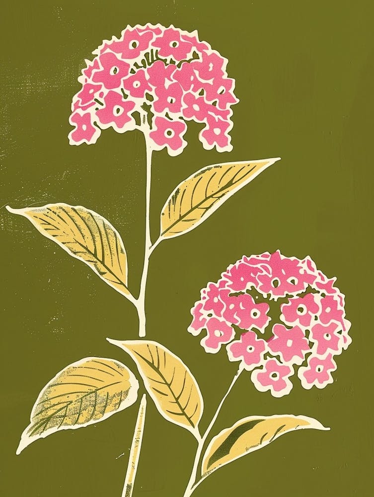 Lantana Rose Et Verte