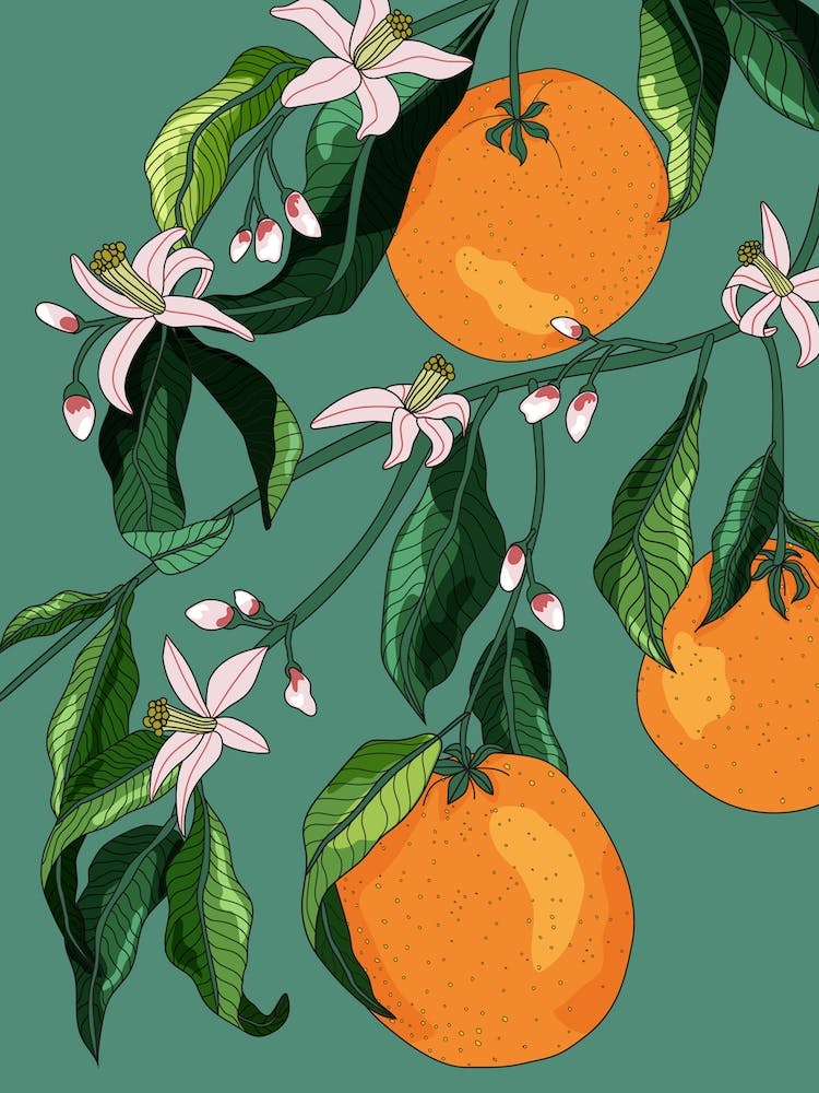 Juicy Orange Blossoms