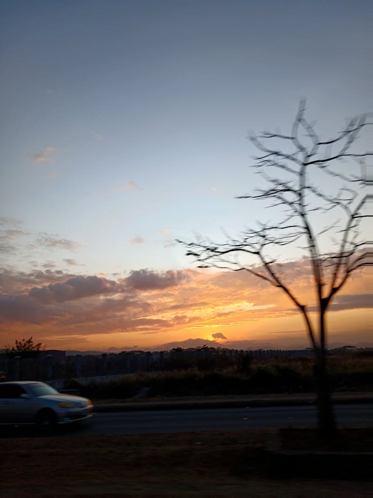 Sunset In Johannesburg