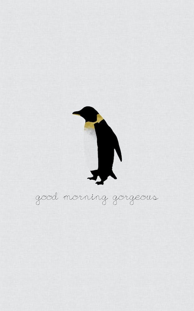 Good Morning Gorgeous