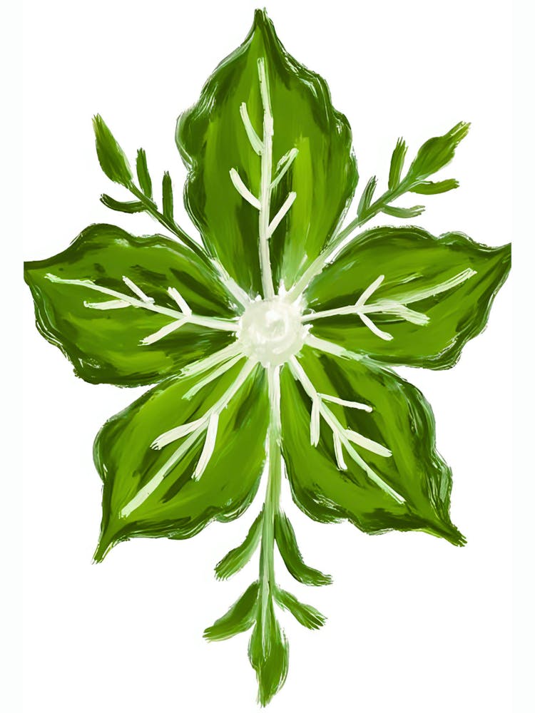 Green Basil Leaf