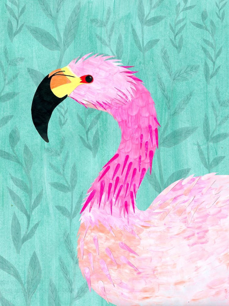 Andes Flamingo
