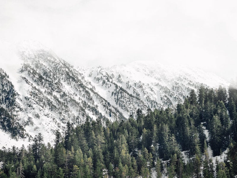 Colorado Winter Mountains