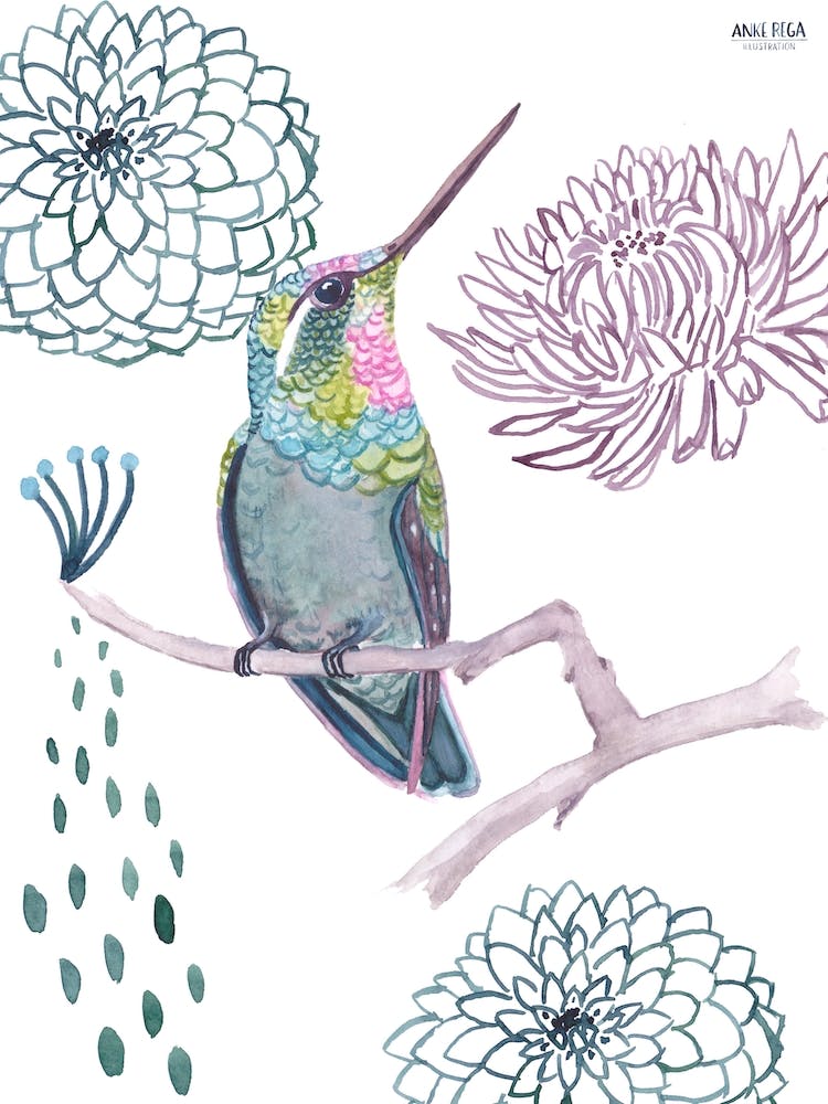 Hummingbird 2