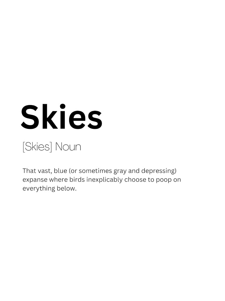 Skies Definition Meaning 1