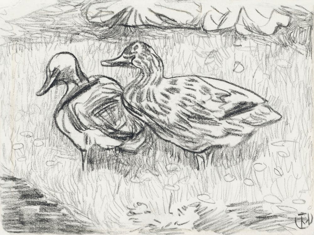Two Ducks (1873–1917), Theo Van Hoytema
