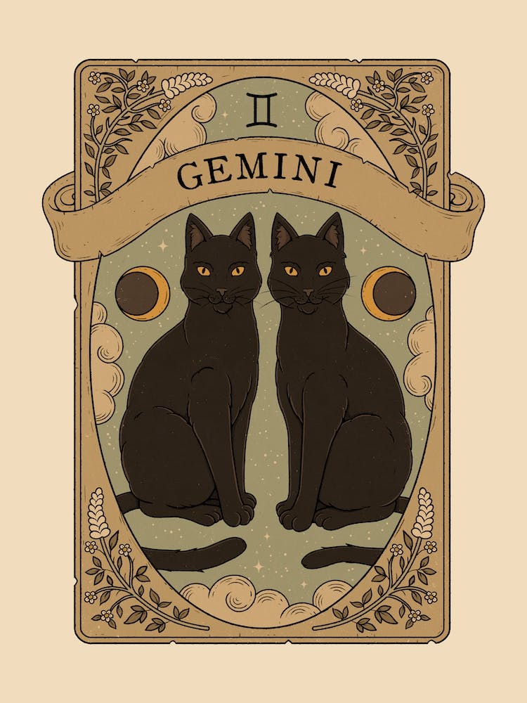 Cats Astrology Gemini