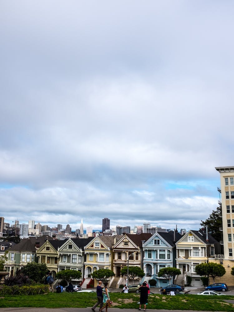 Painted Ladies