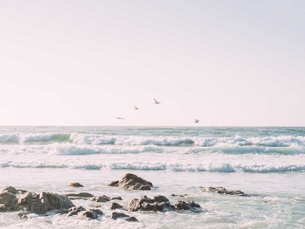California Coast Sunset Pelicans