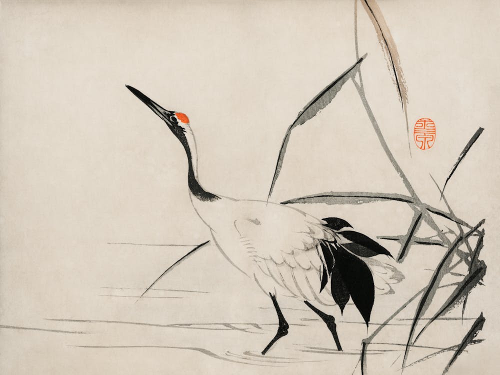 Crane In Water