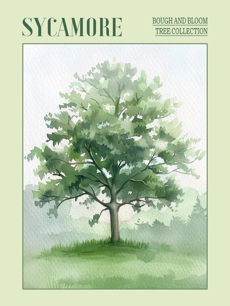 Sycamore Tree Atmospheric Watercolour Painting 2 Poster