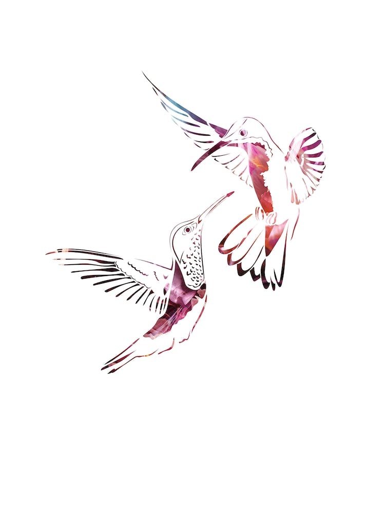 Pink Watercolor Hummingbirds