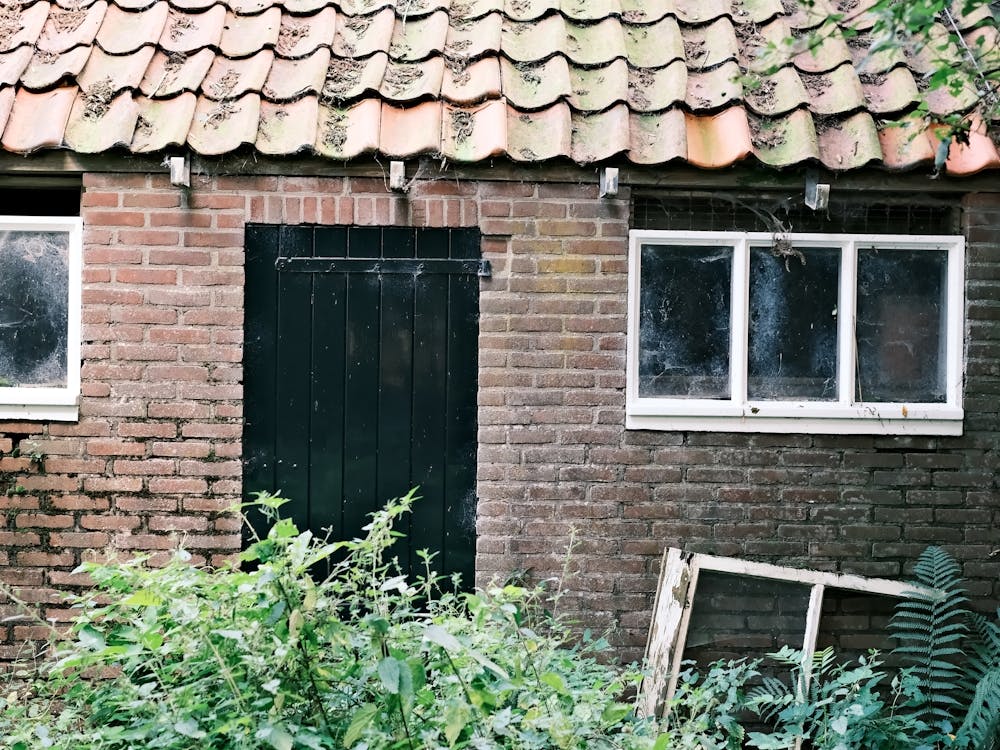Abandoned House // The Netherlands Travel Photography
