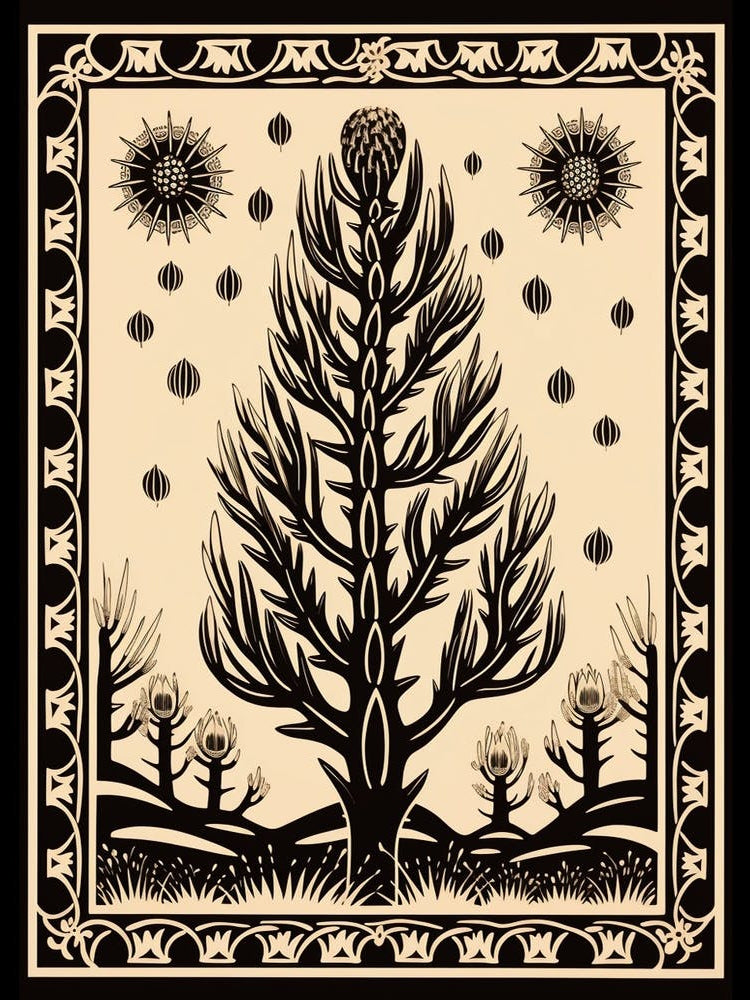 B&W Cactus Illustration Cylindropuntia Kleiniae 4