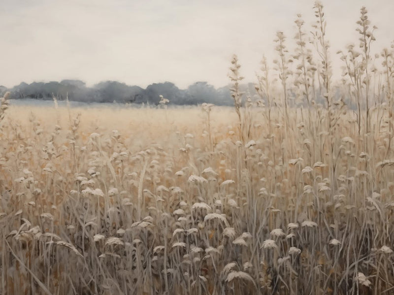 Field Of Wheat