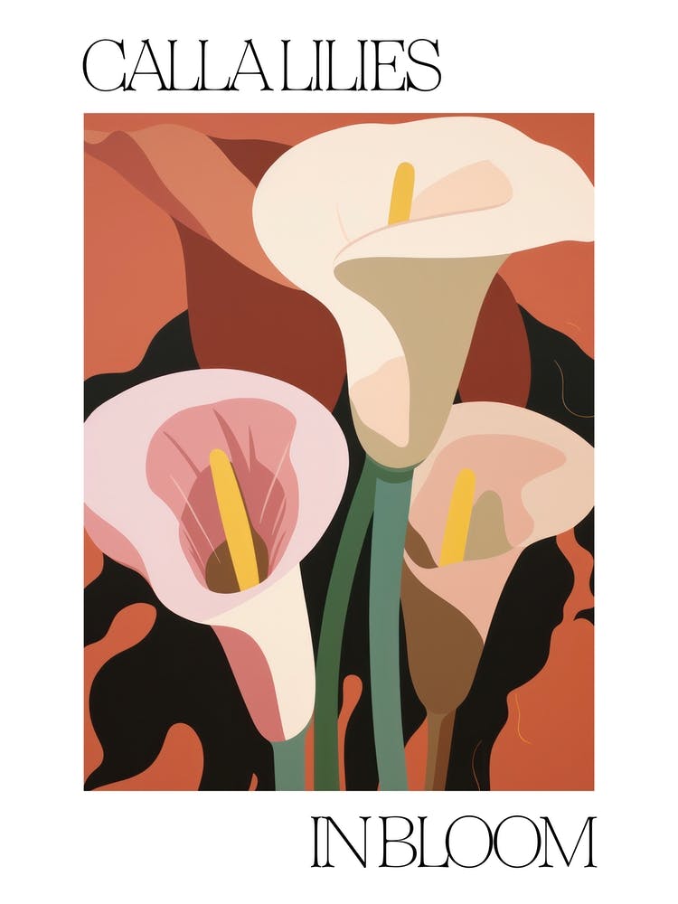 Calla Lilies In Bloom Flowers Bold Illustration 4
