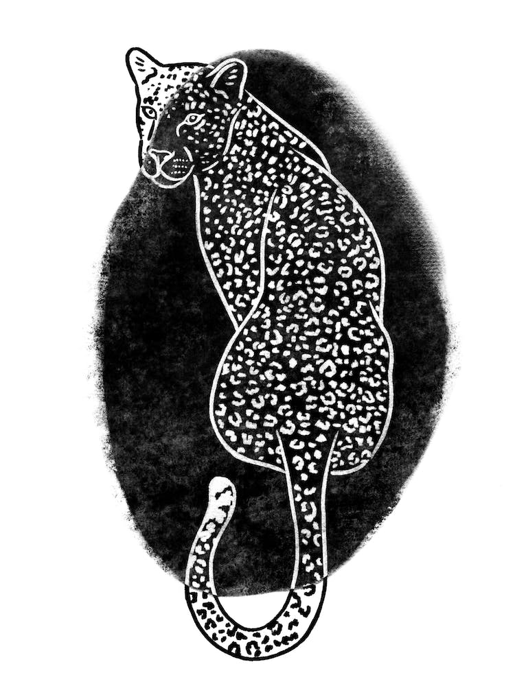 Monochrome Leopard