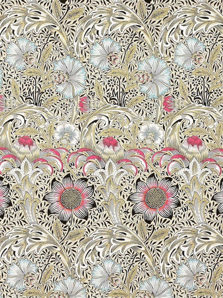 Corncockle, William Morris