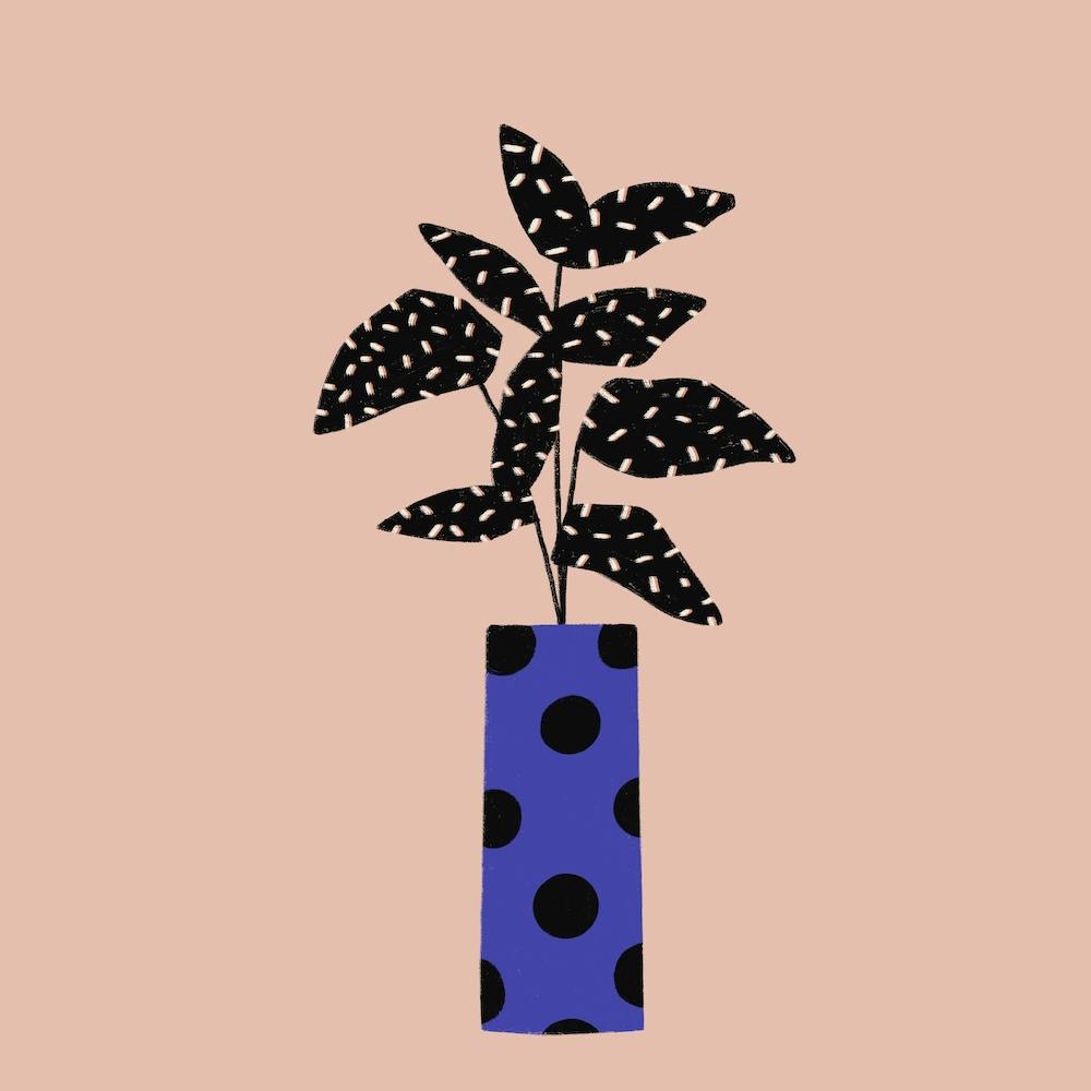Modern Plant On Pink Square