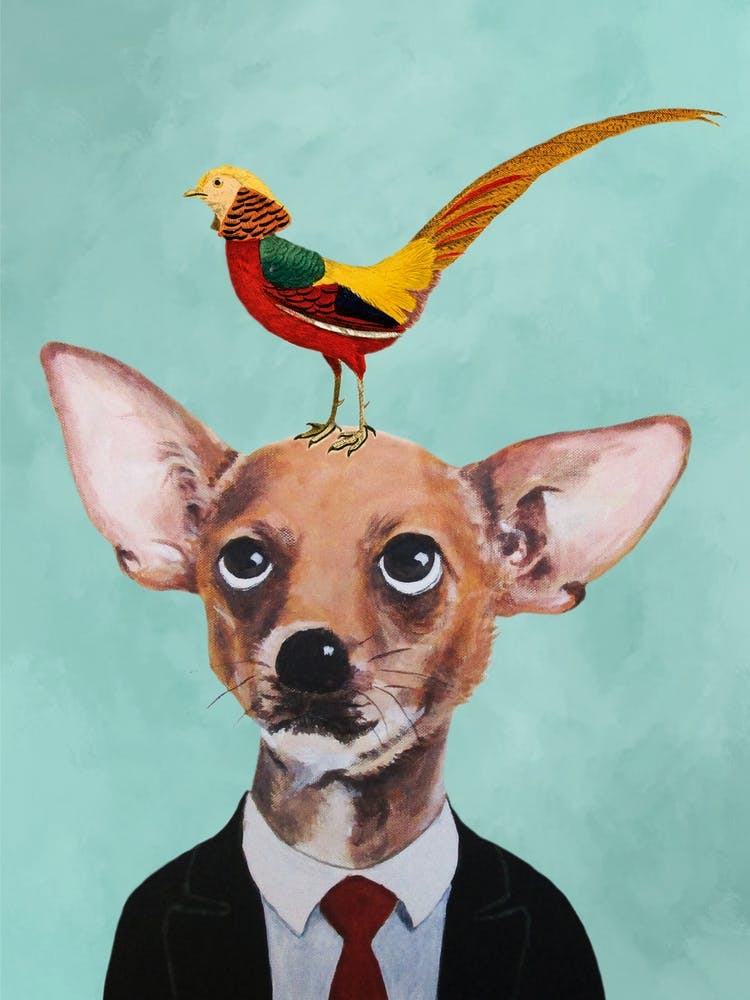 Chihuahua With Bird