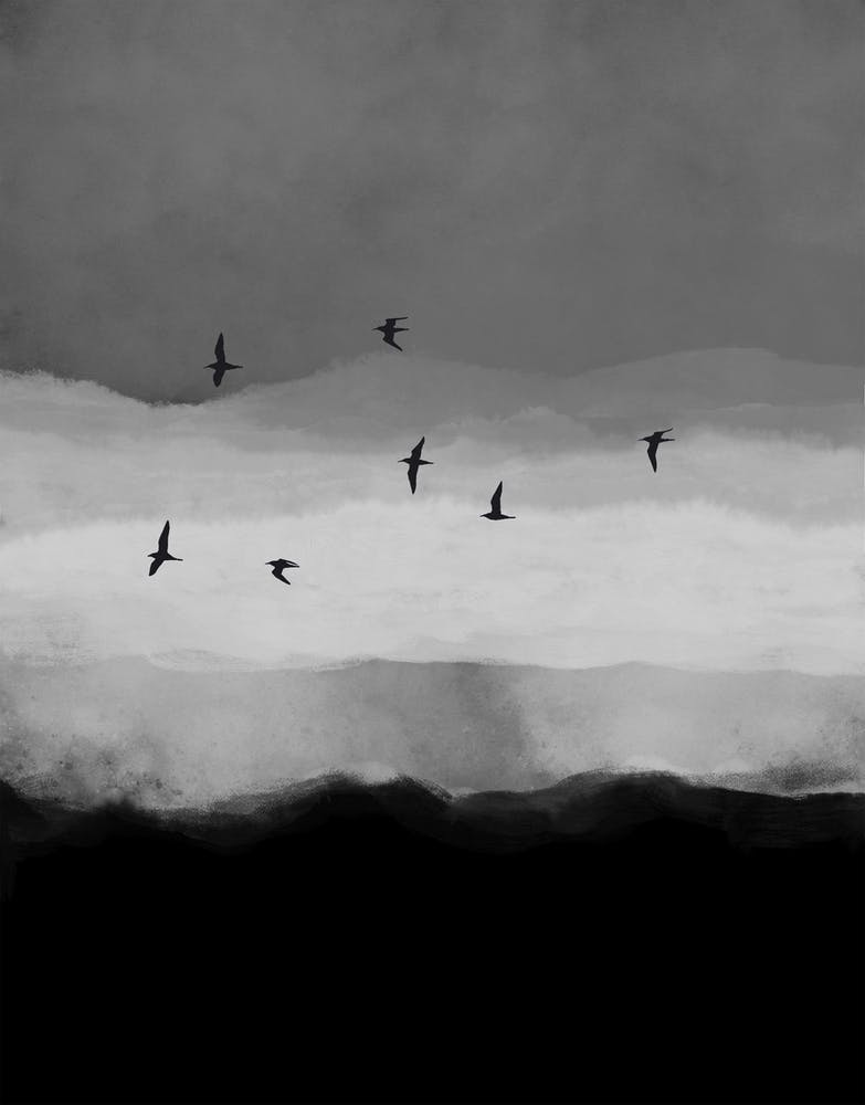 Night Flight