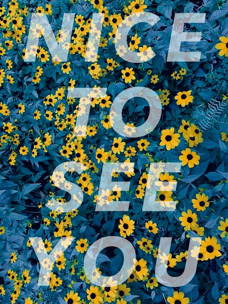 NICE TO SEE YOU