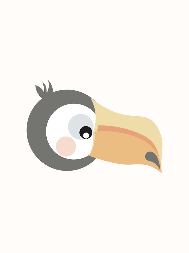 Toucan