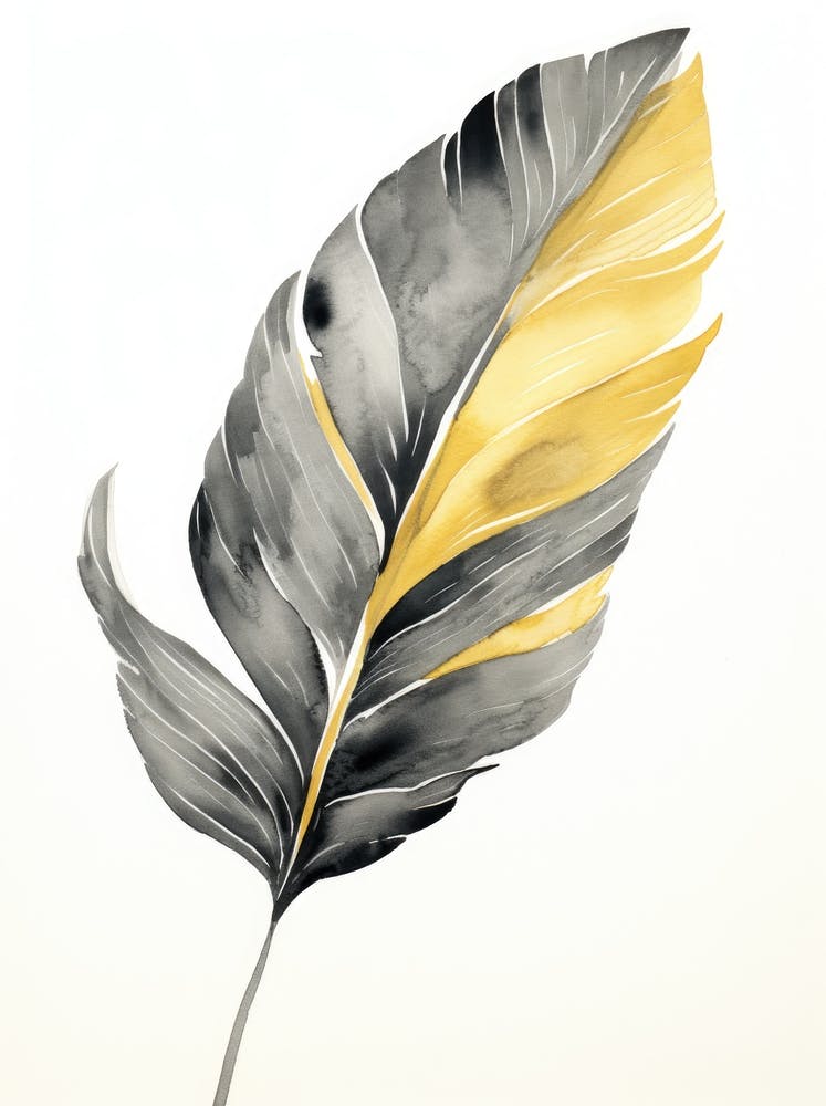 Feather Canvas Print