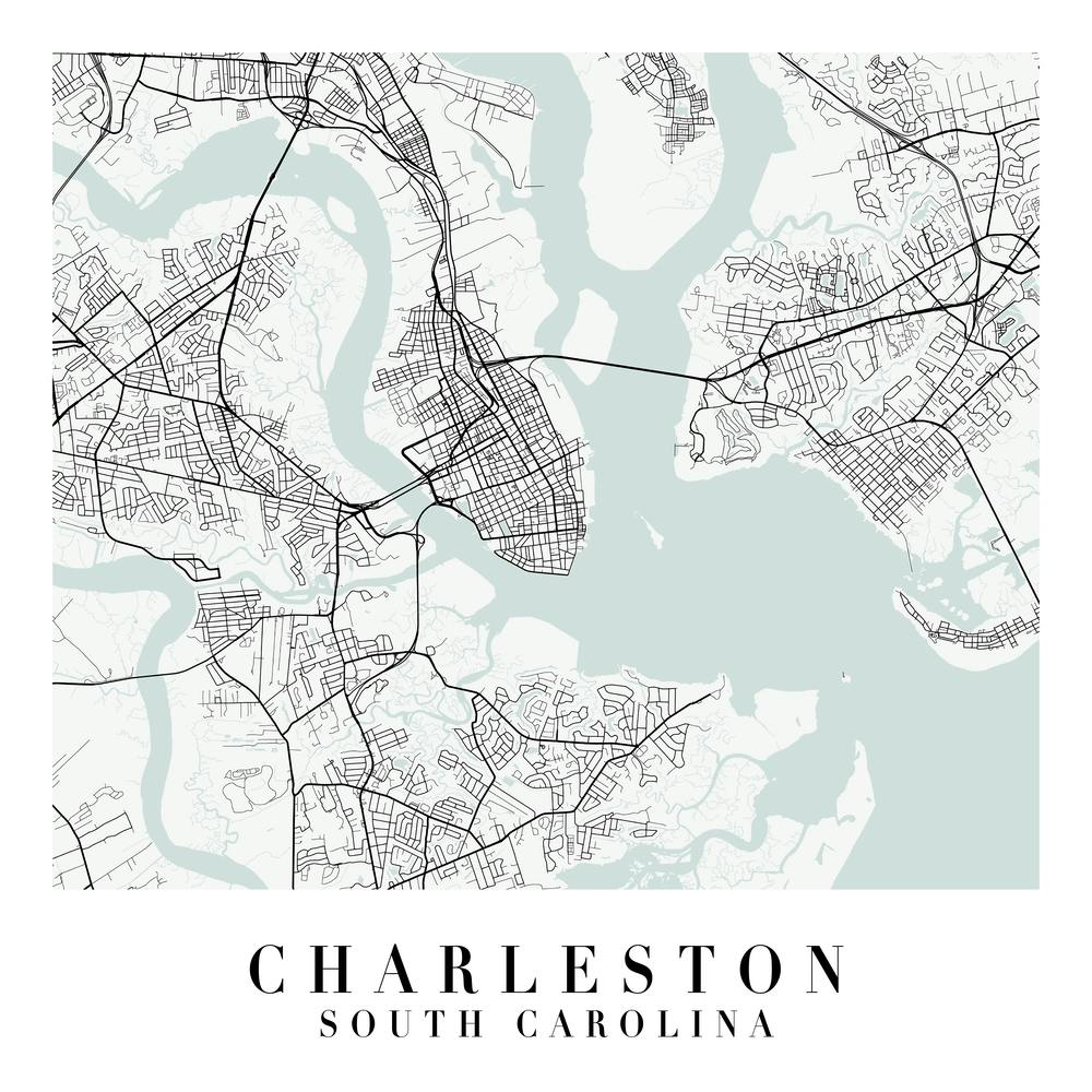 Charleston South Carolina Street Map Minimal Color Square
