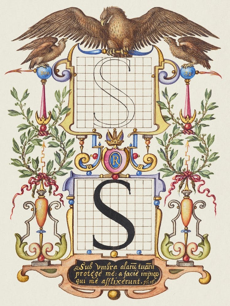 Guide For Constructing The Letter S From Mira Calligraphiae Monumenta, Joris Hoefnagel