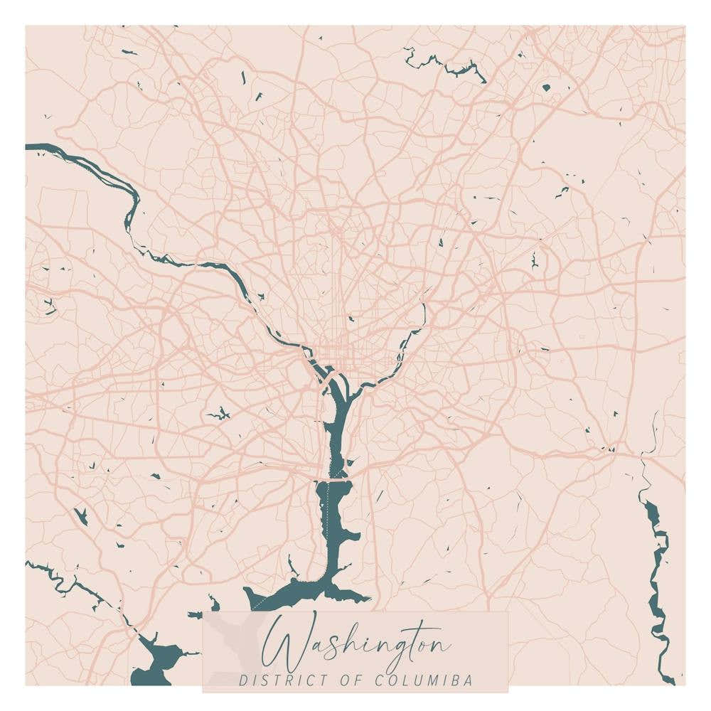 Washington DC Pink and Blue Cute Script Street Map
