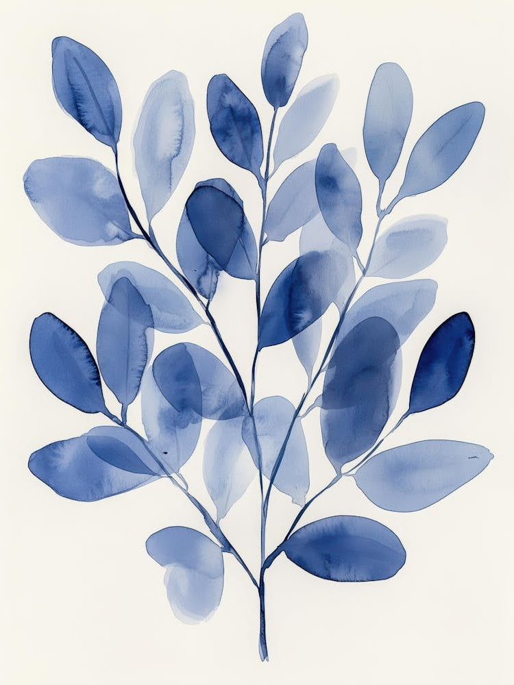 Eucalyptus Leaves 37