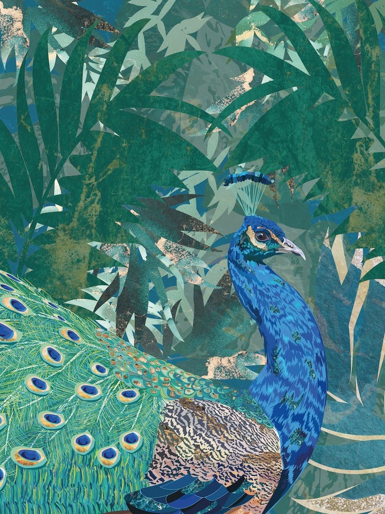 Peacock In The Jungle