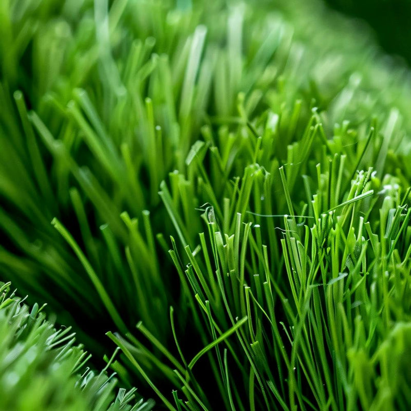 Close Up Of Artificial Grass
