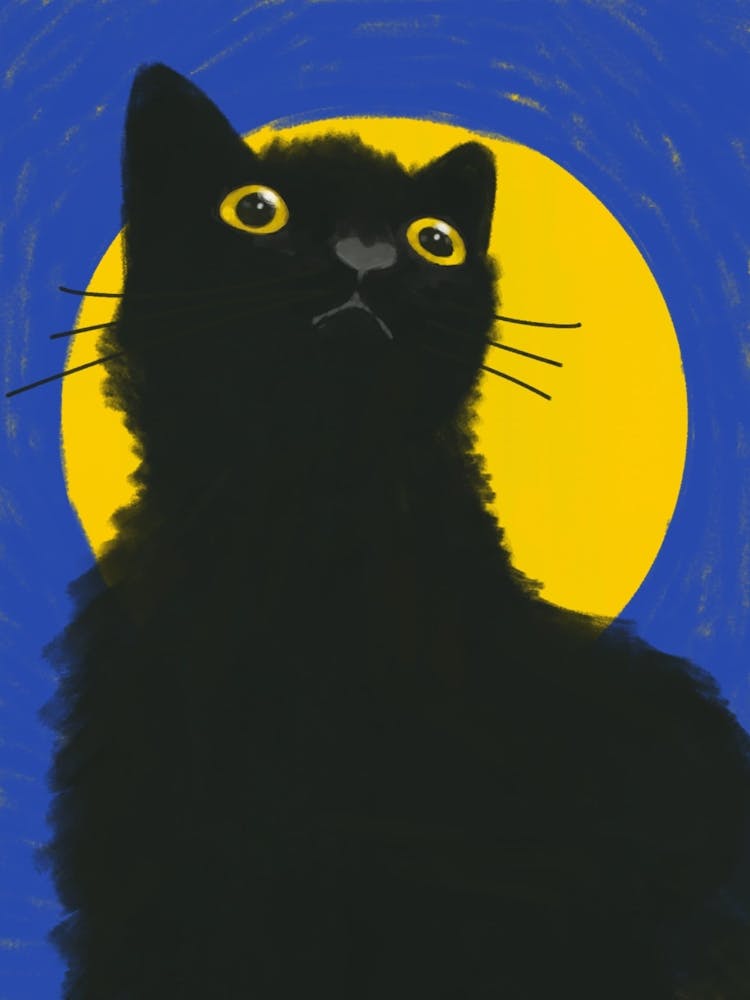 Black Cat In The Moonlight