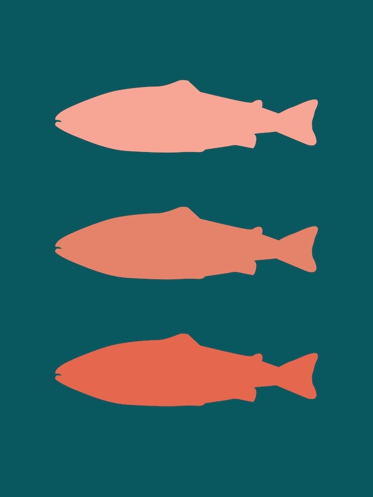 Fish I