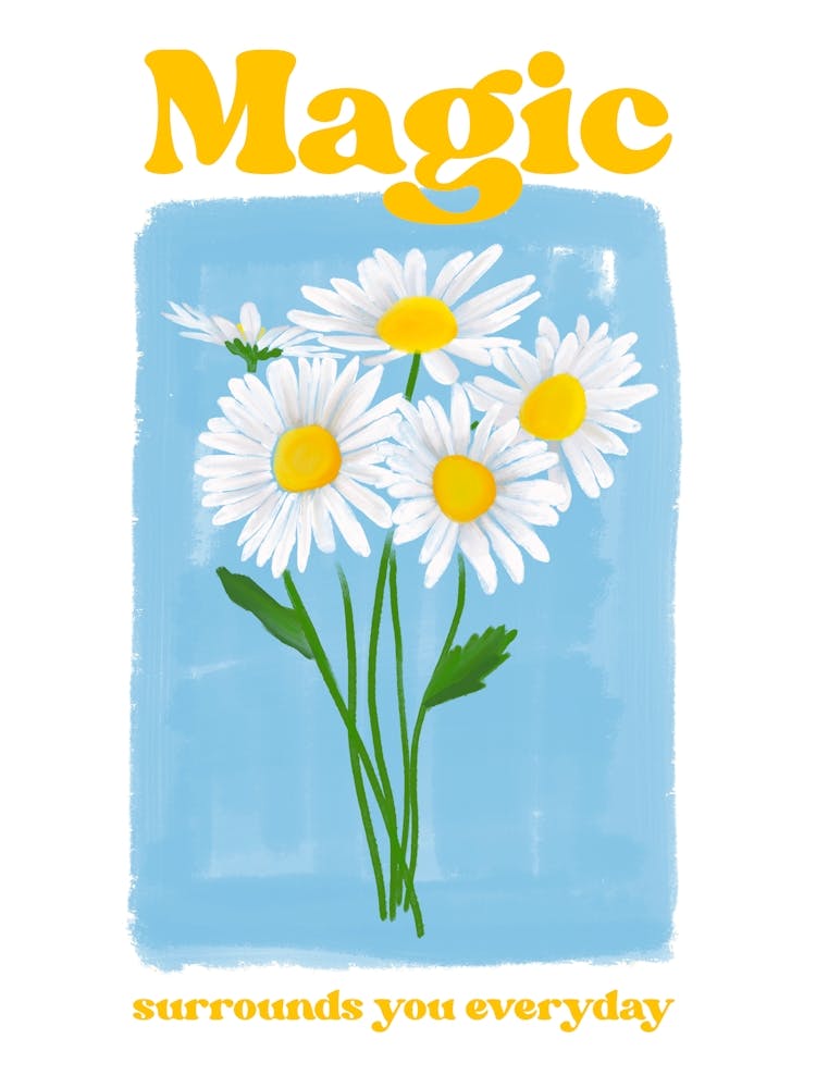 Magic Daisies - Spring Daisy