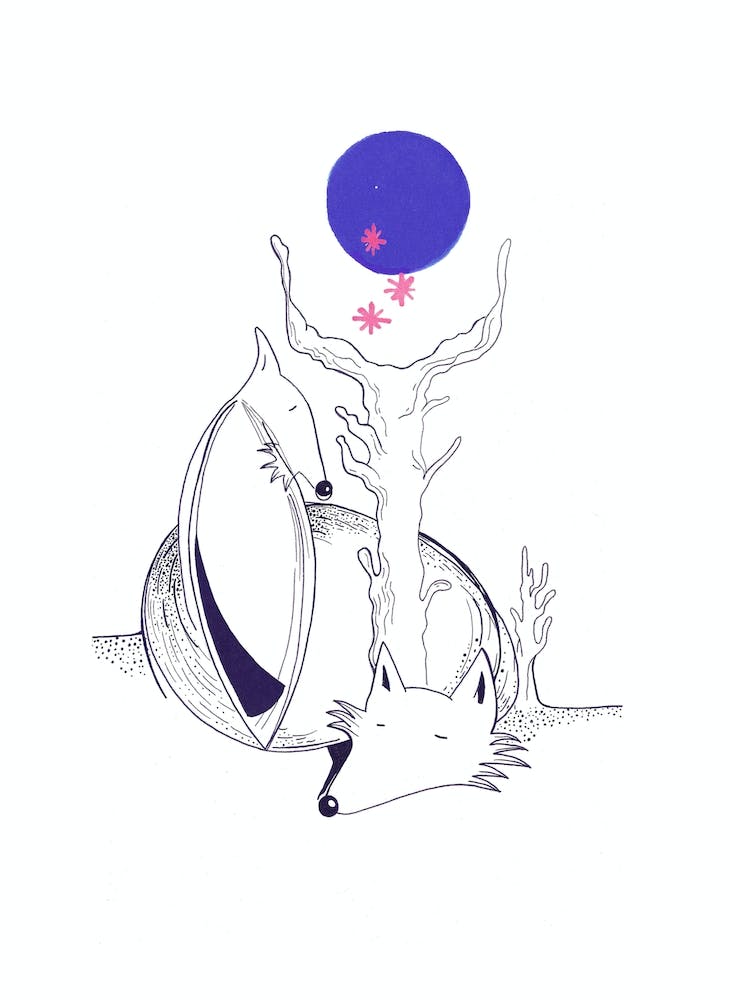 Loup Et Lune