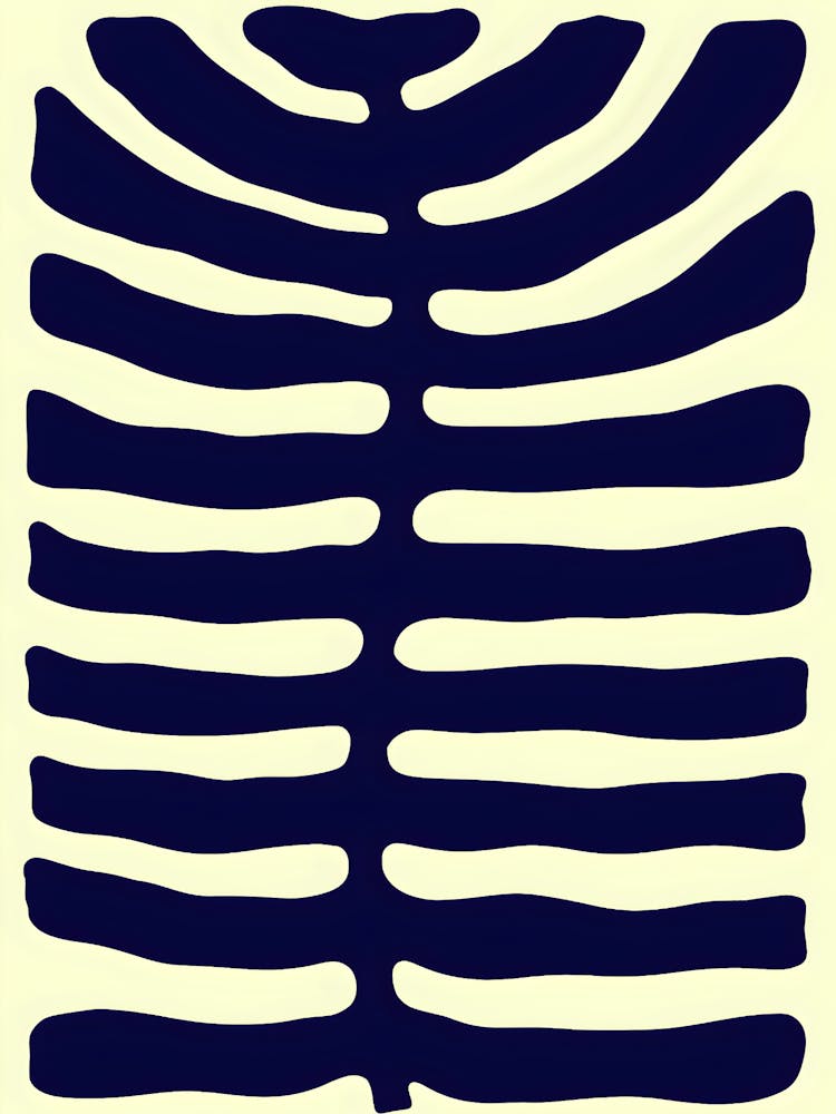 Zebra Stripes 3