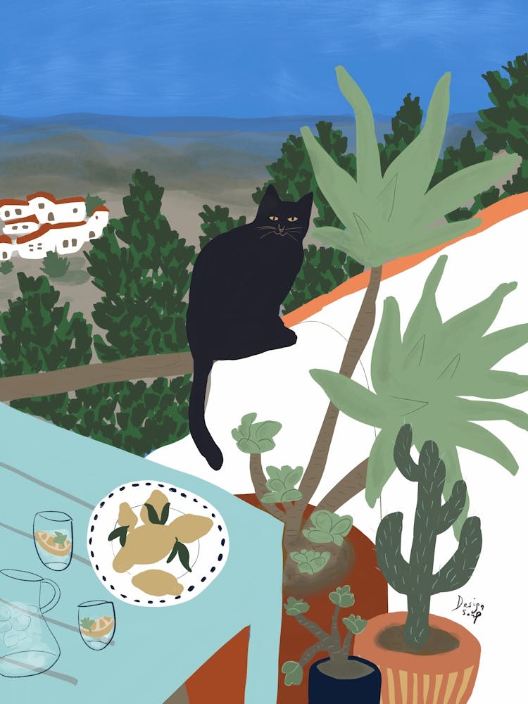 Black Cat on White House