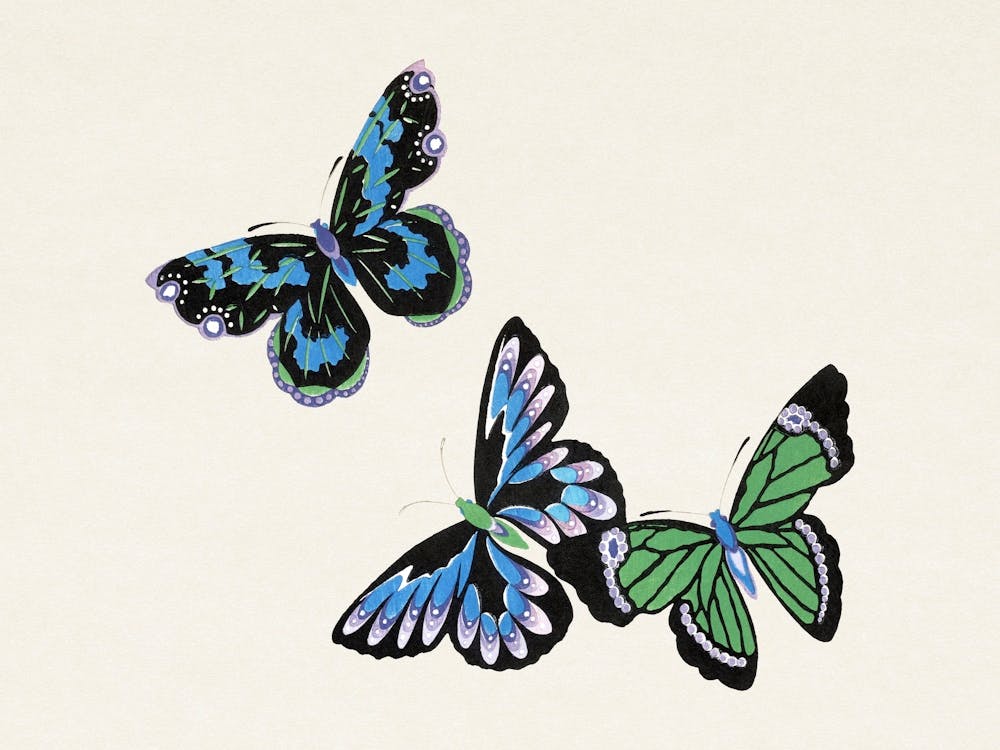 Vintage Butterfly, Cho Senshu (2)