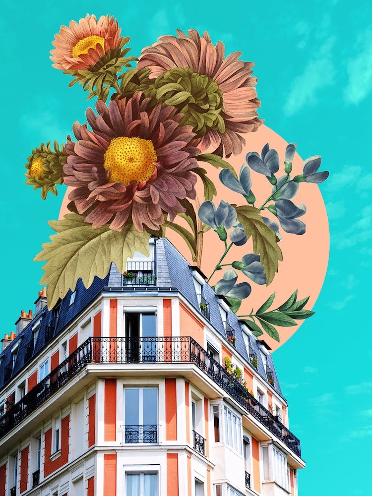 Wallflower 1