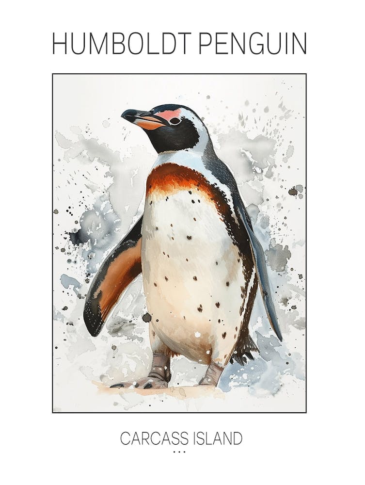 Humboldt Penguin Carcass Island Watercolour Painting 2 Poster