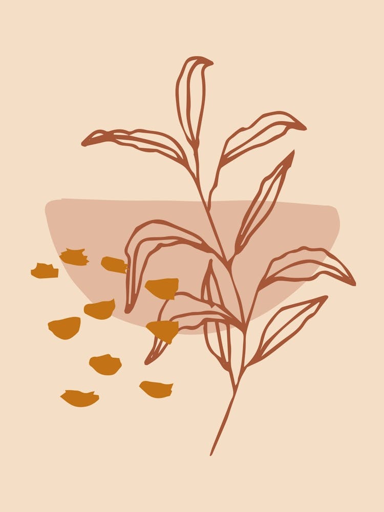 Illustration Of A Plant