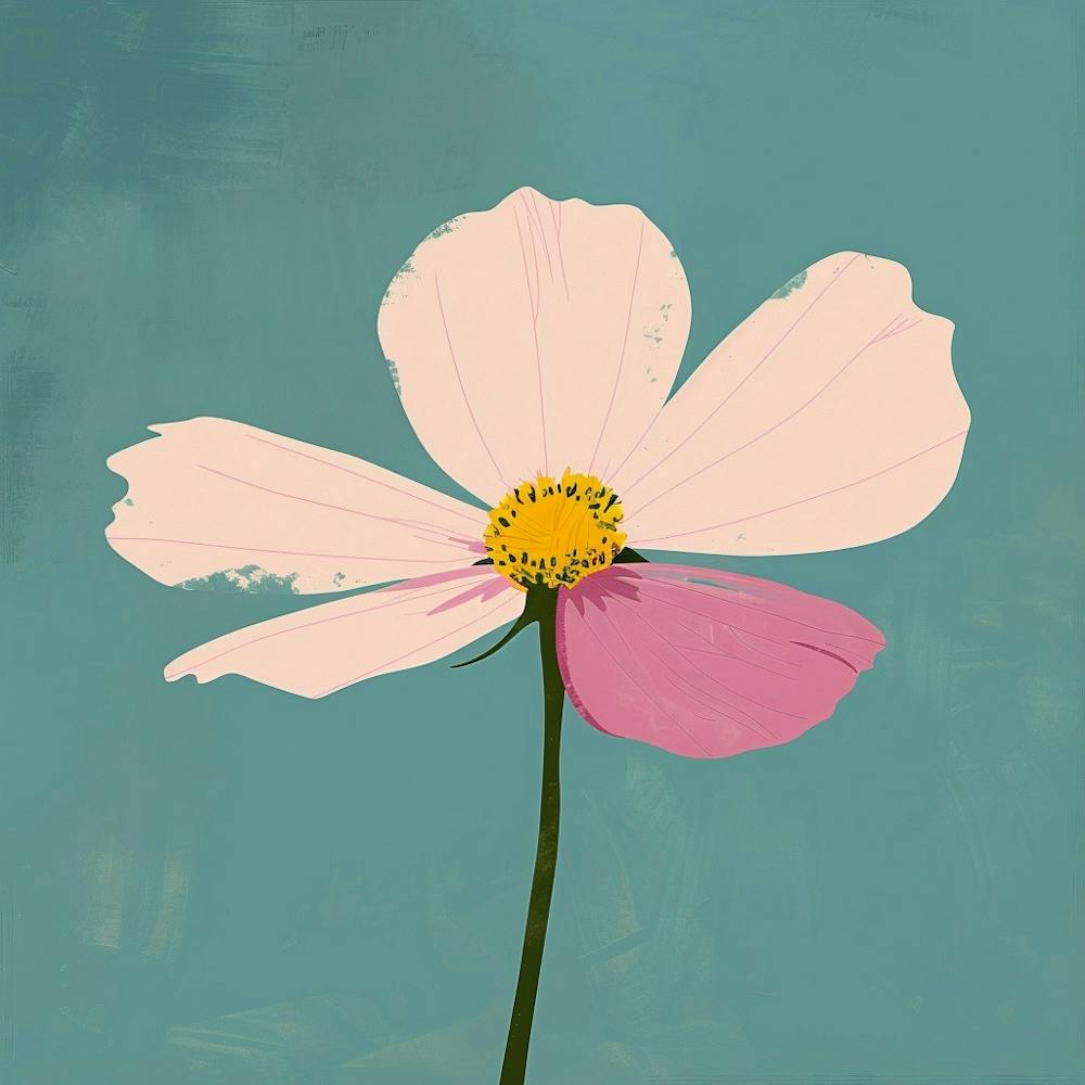 Cosmos 1 Square Flower Illustration