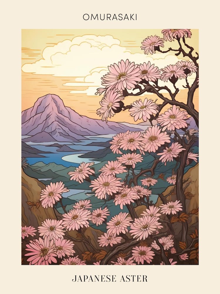 Omurasaki Japanese Aster Japanese Botanical Illustration Poster