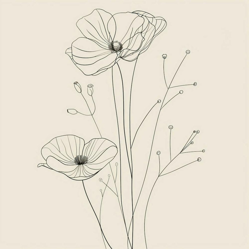 Poppies 41
