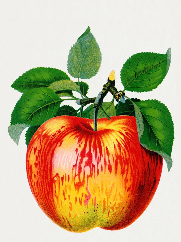 Apple With Leaves