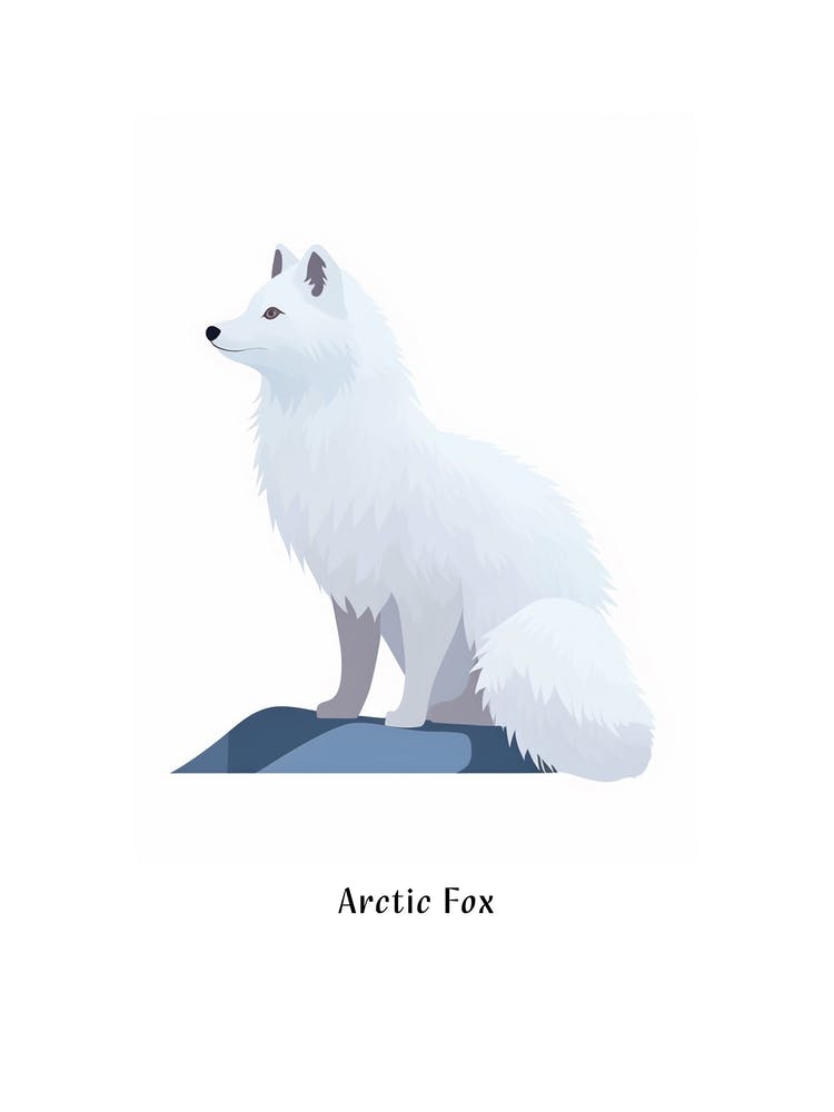 Renard arctique - Affiche animale pour enfants
