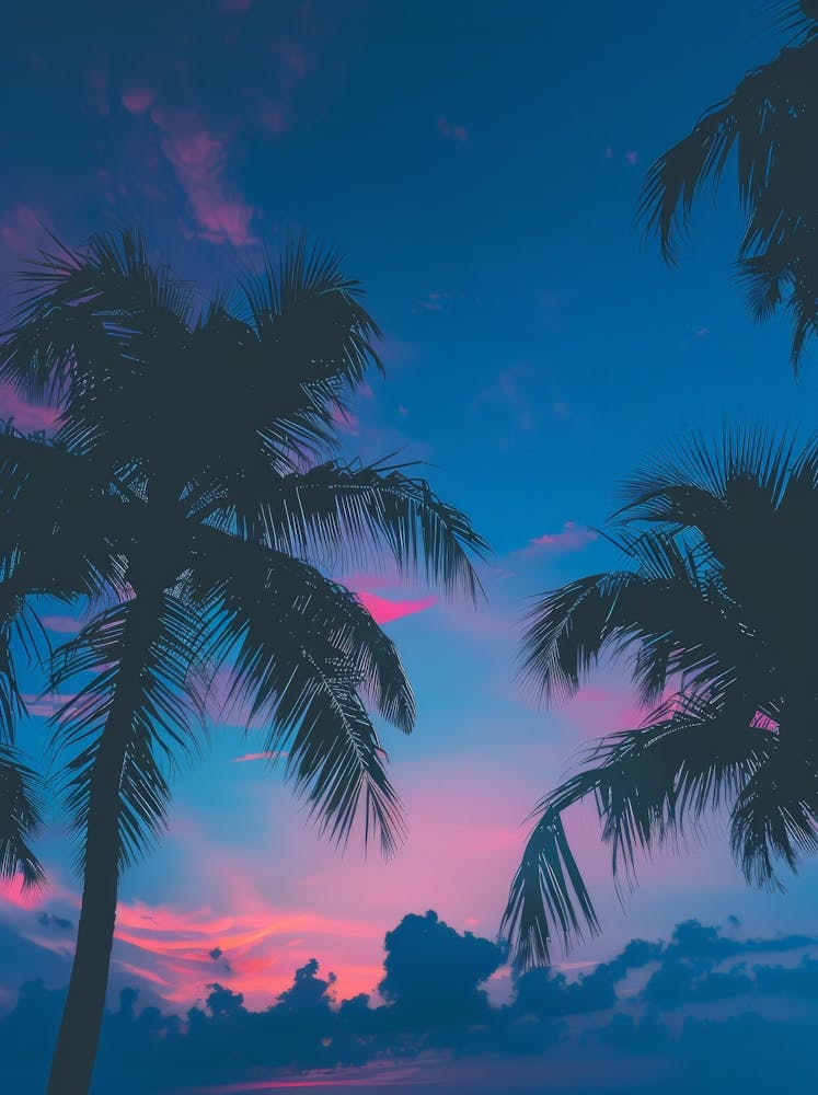 Sunset Palm Trees